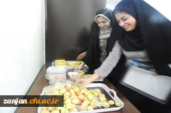 در پردیس الزهرا(س) زنجان برگزار شد:

اولین گردهمایی نومعلمان دانشگاه فرهنگیان ورودی سال 91 2