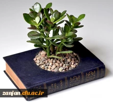 کارگاه مقاله نویسی و نحوه نگارش کتاب