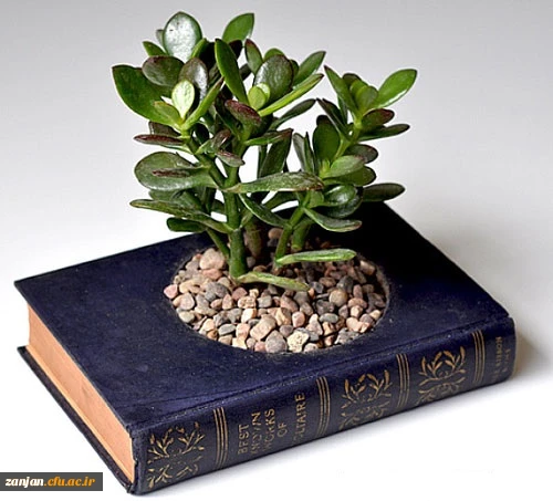 کارگاه مقاله نویسی و نحوه نگارش کتاب