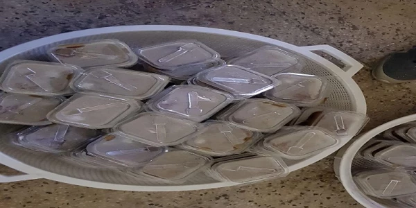 مراسم پخت و احسان حلوا در دانشگاه فرهنگیان