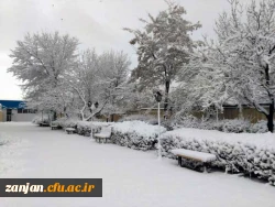 در آخرین روز از دی ماه96:

پردیس سپید پوش شد 2