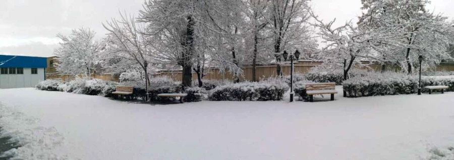 در آخرین روز از دی ماه96:

پردیس سپید پوش شد 3