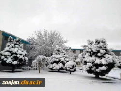 در آخرین روز از دی ماه96:

پردیس سپید پوش شد 4