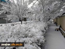 در آخرین روز از دی ماه96:

پردیس سپید پوش شد 8