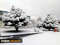 در آخرین روز از دی ماه96:

پردیس سپید پوش شد 9