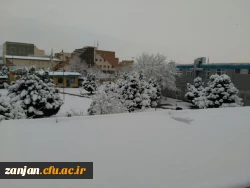 در آخرین روز از دی ماه96:

پردیس سپید پوش شد 11