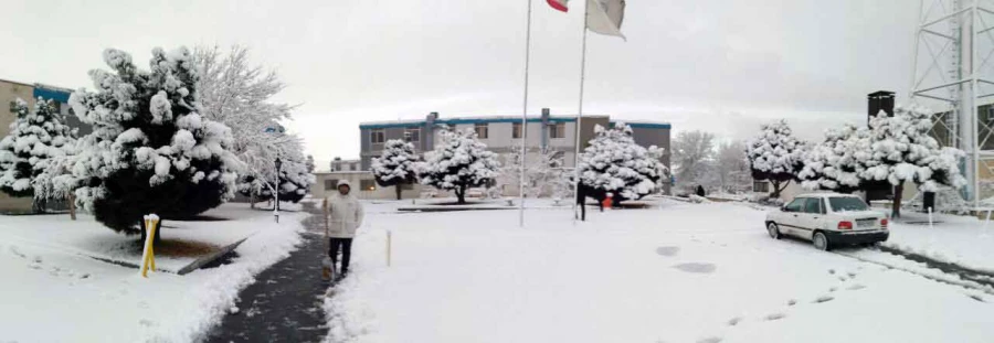 در آخرین روز از دی ماه96:

پردیس سپید پوش شد 14