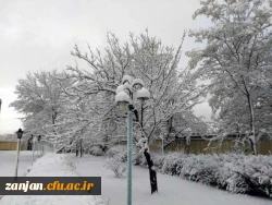 در آخرین روز از دی ماه96:

پردیس سپید پوش شد 17