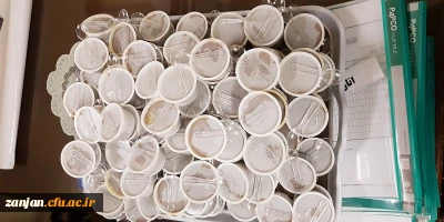 به همت دفتر نهاد رهبری دانشگاه  فرهنگیان استان زنجان برگزار شد:

پخت حلوا به مناسبت اربعین حسینی