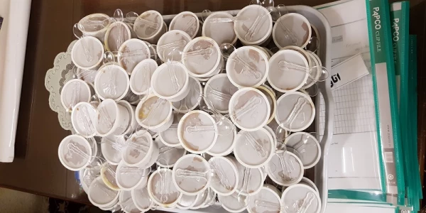 مراسم پخت حلوا به مناسبت اربعین حسینی