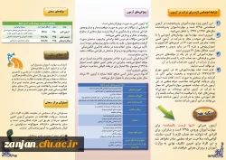 نظارت، ارزیابی و تضمین کیفیت دانشگاه فرهنگیان اعلام کرد:

برگزاری آزمون جبرانی صلاحیت های حرفه ای ویژه مهارت آموزان ورودی 1395 2