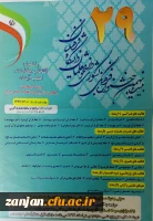 پوستر جشنواره 29