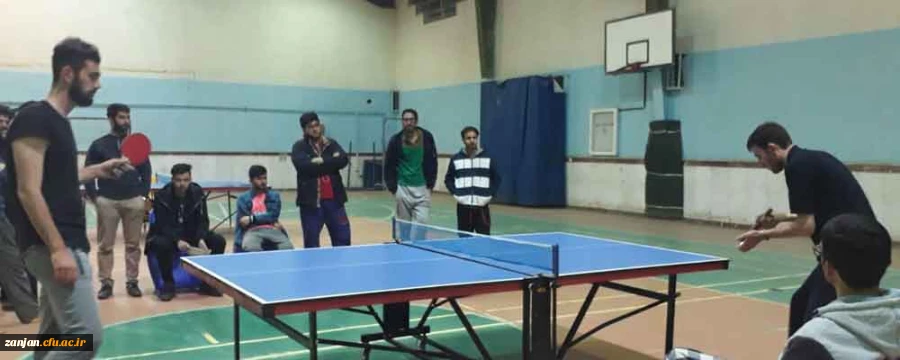 در پردیس شهید بهشتی زنجان برگزار شد:

برگزاری مسابقه پینگ پنگ گرامیداشت هفته سرای دانشجویی

 2