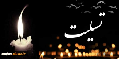 بازگشت همه به سوی اوست:

جناب آقای توکل غنی لو معاون محترم توسعه و هماهنگی دانشگاه فرهنگیان استان زنجان ما را در غم از دست دادن  دختر دلبندتان  شریک بدانید