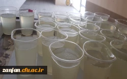 پخش شیرینی و شربت به مناسبت هفته وحدت و آغاز تولد رسول اکرم ( ص )