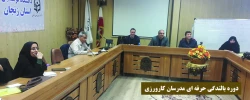 آسیب شناسی برنامه درسی کارورزی پردیس های استان زنجان 3