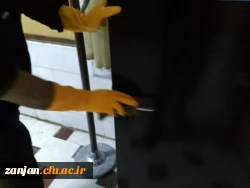 فرایند ایزالسیون و گند زدایی تمامی فضاهای  پردیس الزهرا(س) 2