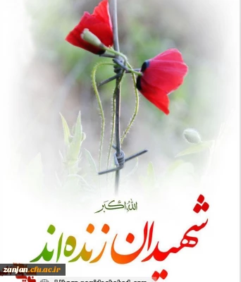 آشنایی با یکی از شهدای جنگ تحمیلی:

دانشجو معلم شهید محمدرضا احمدی