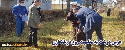 به یاد شهیدان سردار سلیمانی و فخری زاده انجام گرفت:

غرس درخت به مناسبت روز درختکاری