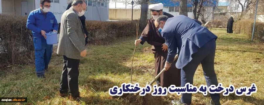 غرس درخت به مناسبت روز درختکاری 2