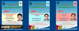 کارشناسی دانشجویی پردیس های استان زنجان اعلام کرد

زمان و آدرس مجازی کارگاههای کانونهای همیاران سلامت روان  اعلام شد