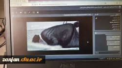 مقایسه نماز با الگوهای بدیل در معنویت های نوظهور