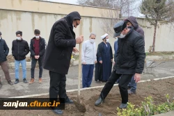 کاشت 50 اصله نهال به مناسبت روز درختکاری 15 و 16 اسفند 400