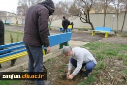 کاشت نهال در روز درختکاری 15 و 16 اسفند 1400