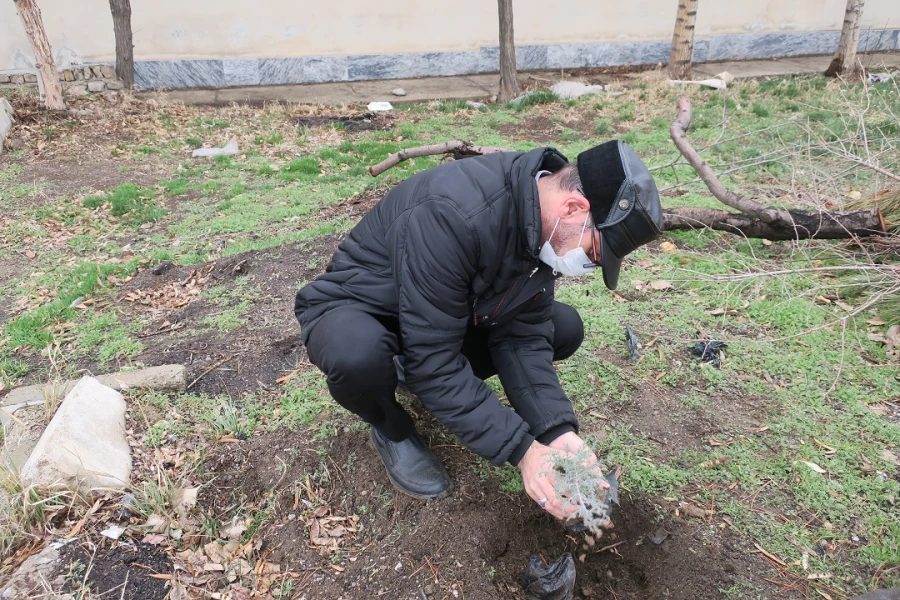 کاشت نهال در روز درختکاری 15 و 16 اسفند 1400