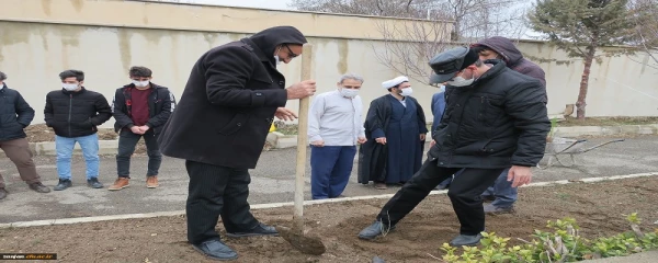تهیه و کاشت 50 اصله نهال به مناسبت روز درختکاری 2