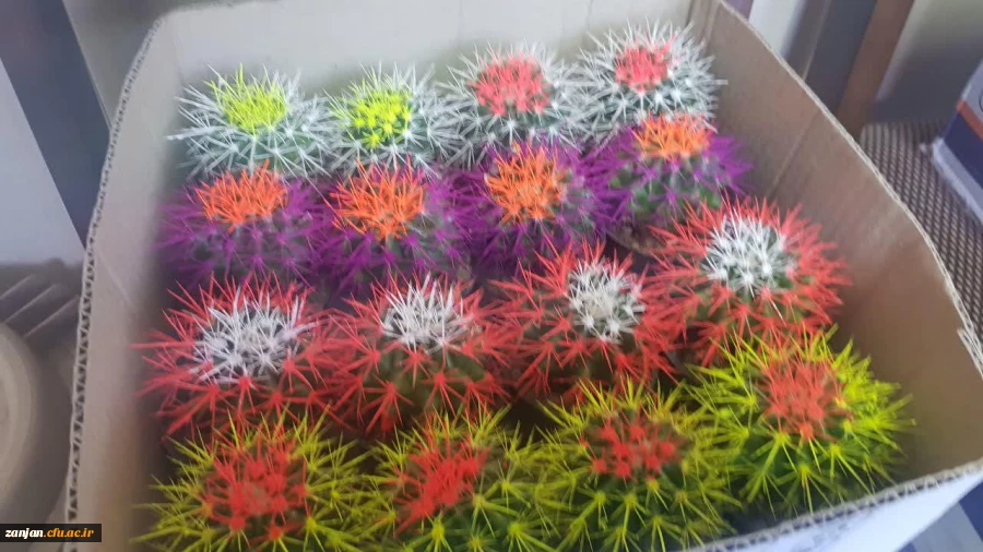 اهدا گل به همکاران به مناسبت سوم شعبان 