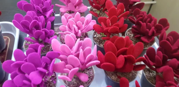 اهدا گل به همکاران و اساتید دانشگاه