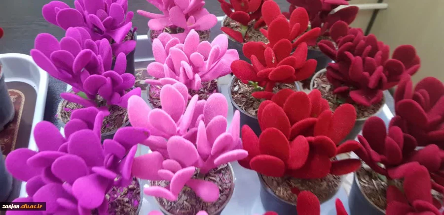 اهدا گل به همکاران و اساتید دانشگاه