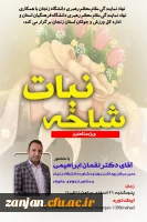 ( پاتوق متاهلین )
  سلسله جلسات شاخه نبات 