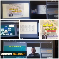 ( پاتوق متاهلین )
  سلسله جلسات شاخه نبات 