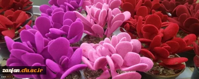 به مناسبت روز شهدا . میلاد امام زمان (عج) و روز جوان 

اهدا گل به همکاران و اساتید دانشگاه فرهنگیان استان زنجان