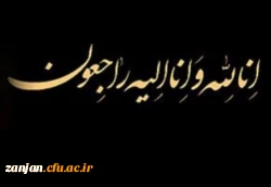 n83140409-72727994-1-e1555135294787-698x480