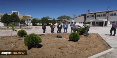  با همکاری شهرداری زنجان انجام شد:

گل کاری و ترمیم فضای سبز پردیس شهید بهشتی