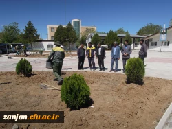 گل کاری و ترمیم فضای سبز پردیس شهید بهشتی 5