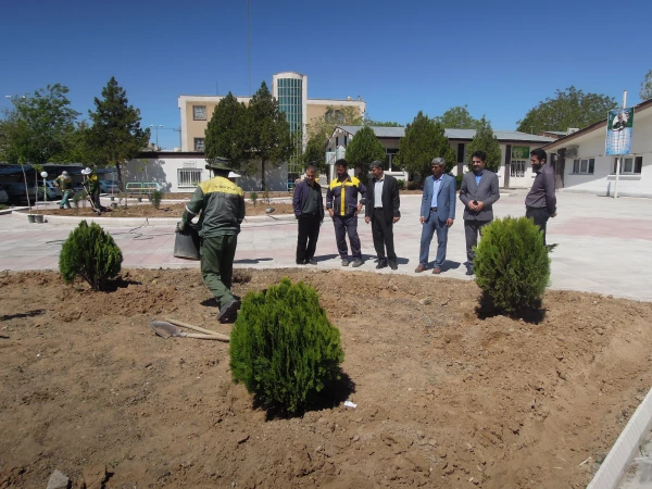 گل کاری و ترمیم فضای سبز پردیس شهید بهشتی 5