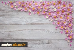 راهیابی ۴ تن از دانشجومعلمان سرآمد دانشگاه فرهنگیان پردیس الزهرا(س) زنجان به مرحله کشوری المپیاد علمی وزارت علوم 2