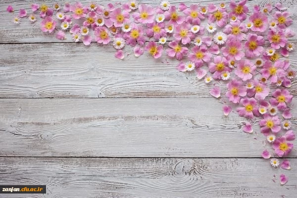 راهیابی ۴ تن از دانشجومعلمان سرآمد دانشگاه فرهنگیان پردیس الزهرا(س) زنجان به مرحله کشوری المپیاد علمی وزارت علوم 2