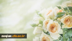 راهیابی ۴ تن از دانشجومعلمان سرآمد دانشگاه فرهنگیان پردیس الزهرا(س) زنجان به مرحله کشوری المپیاد علمی وزارت علوم 2