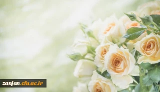 راهیابی ۴ تن از دانشجومعلمان سرآمد دانشگاه فرهنگیان پردیس الزهرا(س) زنجان به مرحله کشوری المپیاد علمی وزارت علوم