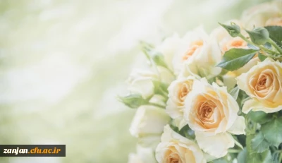 راهیابی ۴ تن از دانشجومعلمان سرآمد دانشگاه فرهنگیان پردیس الزهرا(س) زنجان به مرحله کشوری المپیاد علمی وزارت علوم