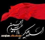 

انّ الحسین مصباح الهدی و سفینة النجاة