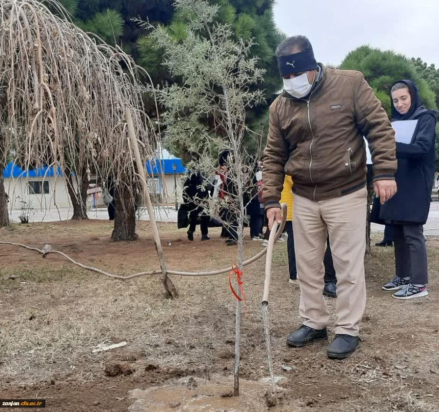 کاشت نهال در دانشگاه فرهنگیان استان زنجان به مناسبت گرامیداشت روز درختکاری 3