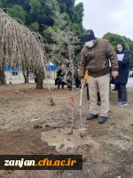 کاشت نهال در پردیس الزهرا(س) به مناسبت گرامیداشت روز درختکاری 2