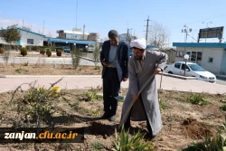 کاشت نهال بمناسبت گرامیداشت هفته منابع طبیعی و روز درختکاری 2