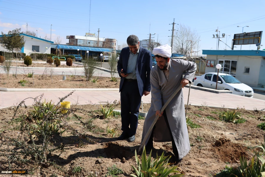 کاشت نهال بمناسبت گرامیداشت هفته منابع طبیعی و روز درختکاری 2